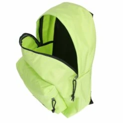 Eastpak Padded Pak'r Rucksack 40 Cm -Günstiges Taschengeschäft 0359b4786ec394090ae90e9df5a41757 3
