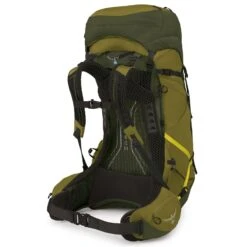 Osprey Atmos AG LT 50 Rucksack L-XL 88 Cm -Günstiges Taschengeschäft 1e6bba7a4b47cac3c1fe83f381e8243a 2
