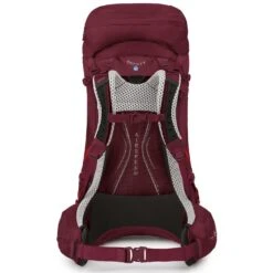 Osprey Aura AG LT 50 Rucksack WXS-S 80 Cm -Günstiges Taschengeschäft 3690ce29facd5f4aa6f231c59d9accdb 2